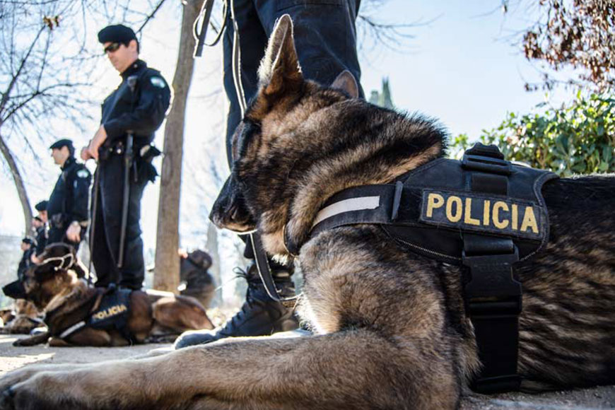 Plazas Pendientes Policía Nacional